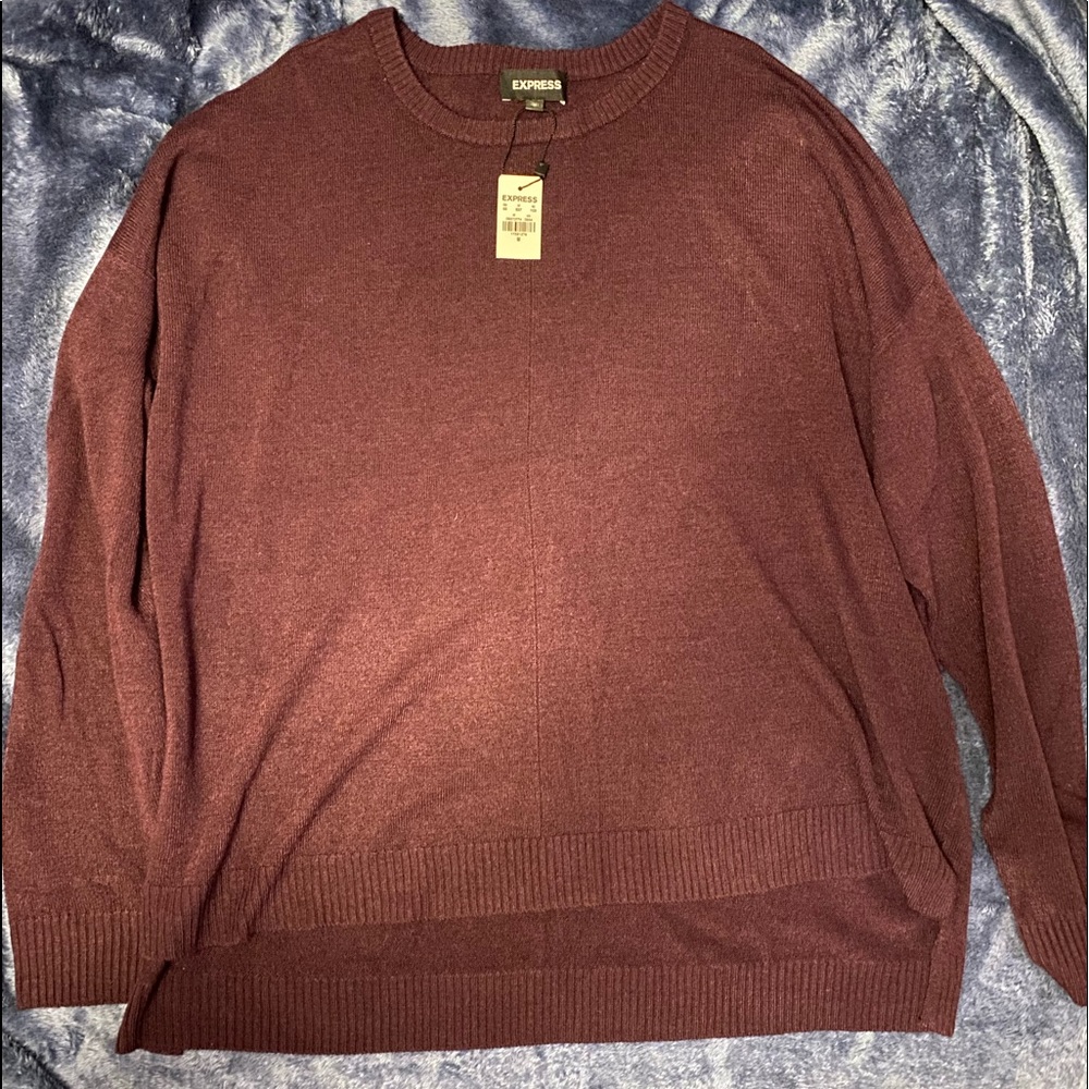 NWT Express Sweater size M